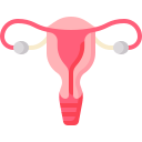 Uterus