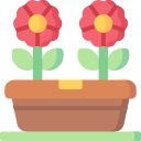 fiori