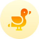 canard