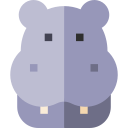 Hippopotamus