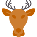 Stag