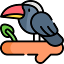 toucan