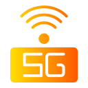 5 g