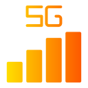 5 g