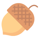 Acorn