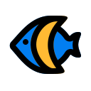 Angelfish