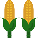 Corn