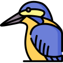 eisvogel