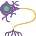 neurone