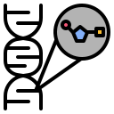 nucleotide