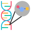 nucleotide