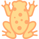 Toad