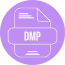 dmp 파일