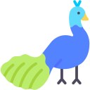 pfau