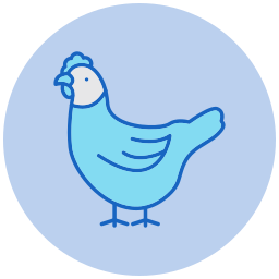 Chicken icon