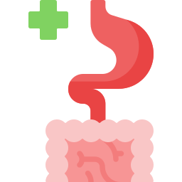 spijsvertering icoon