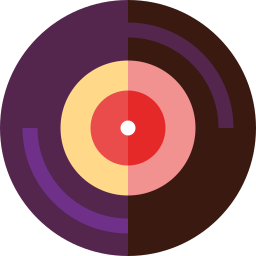 vinyl icon