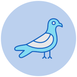 Seagull icon