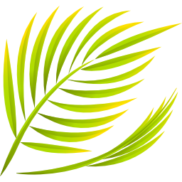 palme icon