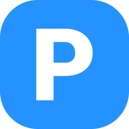 Letter P icon