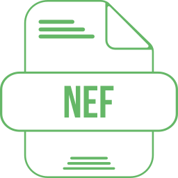 nef Ícone