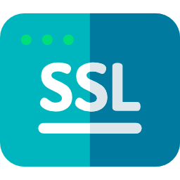 ssl icon