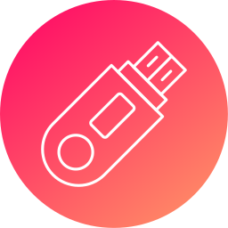 Flash disk icon