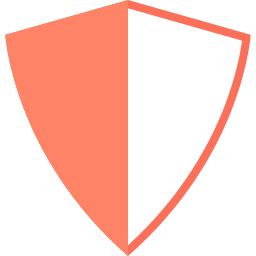 shield icon