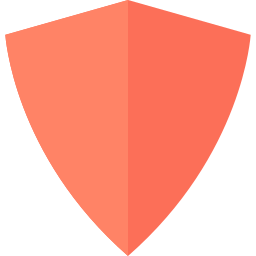 shield icon