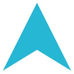 Arrow icon