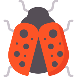 coccinella icona