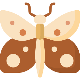 papillon Icône