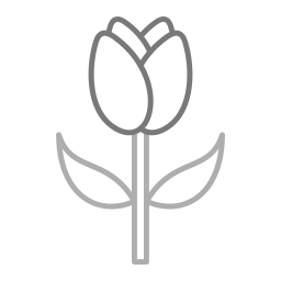 tulpe icon