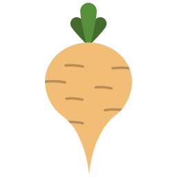 Radish icon