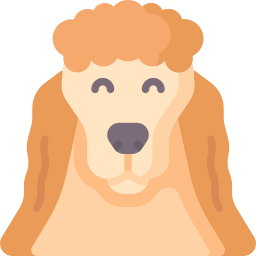 Poodle icon