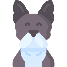 Boston terrier icon