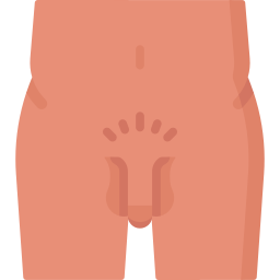 penis icon