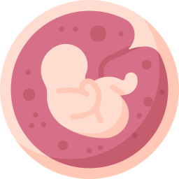 Placenta icon