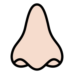 Nose icon