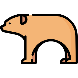 bär icon