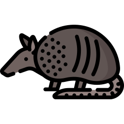 armadillo icona