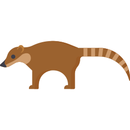 coati icon