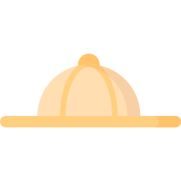 safari icon