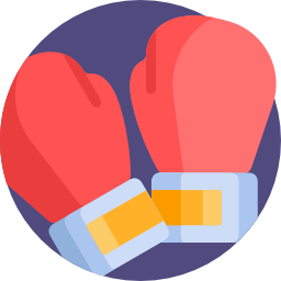 Boxing glove icon