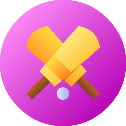 kricket icon