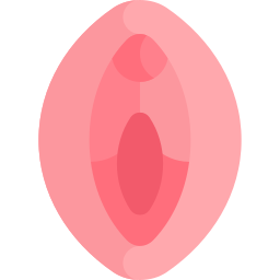 vagina icon