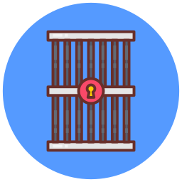 zelle icon