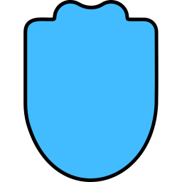 shield icon