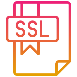 ssl icon