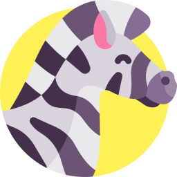 zebra ikona